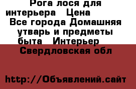 Рога лося для интерьера › Цена ­ 3 300 - Все города Домашняя утварь и предметы быта » Интерьер   . Свердловская обл.